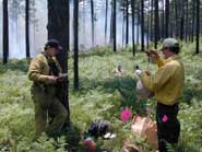 SEFEP staff collecting data for Fire Behavior Research